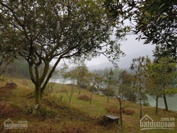Bán 4ha đất view núi cực đẹp tại Minh Phú, Sóc Sơn, Hà Nội. GIÁ RẺ, CÓ VIDEO