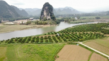 Dự án Happy Farm Kim Bôi