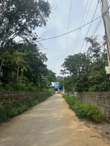 Chủ cần bán gấp lô đất 2900m2